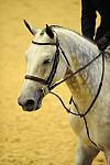 USHJA-Derby-8-20-10-DER_8659-QRnd1-Argentum-PeterPletcher-DDeRosaPhoto.jpg