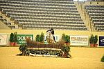 USHJA-Derby-8-20-10-DER_8660-QRnd1-Argentum-PeterPletcher-DDeRosaPhoto.jpg