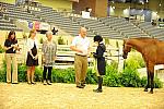 USHJA-Derby-8-20-10-DER_9086-QRnd1-Borealus-KatieDinan-DDeRosaPhoto.jpg