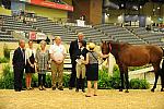 USHJA-Derby-8-20-10-DER_9102-QRnd1-Peridot-TammyProvost-DDeRosaPhoto.jpg