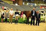 USHJA-Derby-8-20-10-DER_9104-QRnd1-Peridot-TammyProvost-DDeRosaPhoto.jpg