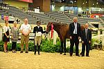 USHJA-Derby-8-20-10-DER_9105-QRnd1-Peridot-TammyProvost-DDeRosaPhoto.jpg