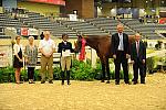 USHJA-Derby-8-20-10-DER_9107-QRnd1-Peridot-TammyProvost-DDeRosaPhoto.jpg