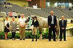 USHJA-Derby-8-20-10-DER_9112-QRnd1-Listen-KelleyFarmer-DDeRosaPhoto.jpg