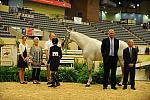 USHJA-Derby-8-20-10-DER_9123-QRnd1-CCoastZ-LillieKeenan-DDeRosaPhoto.jpg