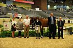 USHJA-Derby-8-20-10-DER_9127-QRnd1-CRHarbio-ColleenAcosta-DDeRosaPhoto.jpg