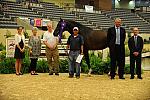 USHJA-Derby-8-20-10-DER_9134-QRnd1-Declaration-DDeRosaPhoto.jpg