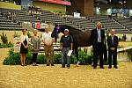 USHJA-Derby-8-20-10-DER_9135-QRnd1-Declaration-DDeRosaPhoto.jpg