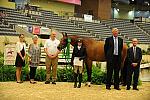 USHJA-Derby-8-20-10-DER_9140-QRnd1-WorldTime-VictoriaColvin-DDeRosaPhoto.jpg