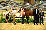 USHJA-Derby-8-20-10-DER_9144-QRnd1-TheSpecialist-DDeRosaPhoto.jpg