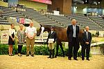 USHJA-Derby-8-20-10-DER_9153-QRnd1-Extraordinay-JenniferAlfano-DDeRosaPhoto.jpg