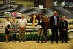 USHJA-Derby-8-20-10-DER_9161-QRnd1-Brunello-LizaBoyd-DDeRosaPhoto.jpg