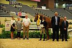 USHJA-Derby-8-20-10-DER_9165-QRnd1-Brunello-LizaBoyd-DDeRosaPhoto.jpg