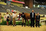 USHJA-Derby-8-20-10-DER_9166-QRnd1-JerseyBoy-JenniferAlfano-DDeRosaPhoto.jpg