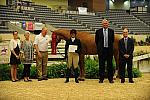 USHJA-Derby-8-20-10-DER_9169-QRnd1-JerseyBoy-JenniferAlfano-DDeRosaPhoto.jpg