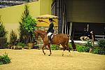 USHJA-Derby-8-21-10-CrseWk-Parade-DER_9398-DDeRosaPhoto.jpg