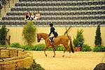 USHJA-Derby-8-21-10-CrseWk-Parade-DER_9409-DDeRosaPhoto.jpg