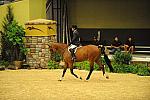 USHJA-Derby-8-21-10-CrseWk-Parade-DER_9435-DDeRosaPhoto.jpg