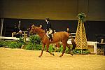 USHJA-Derby-8-21-10-CrseWk-Parade-DER_9443-DDeRosaPhoto.jpg