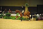 USHJA-Derby-8-21-10-CrseWk-Parade-DER_9445-DDeRosaPhoto.jpg