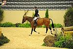 USHJA-Derby-8-21-10-CrseWk-Parade-DER_9455-DDeRosaPhoto.jpg