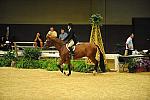 USHJA-Derby-8-21-10-CrseWk-Parade-DER_9469-DDeRosaPhoto.jpg