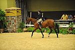 USHJA-Derby-8-21-10-CrseWk-Parade-DER_9476-DDeRosaPhoto.jpg