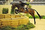 USHJA-Derby-8-21-10-Rnd2-DER1_9560-RockStar-LouisSerio-DDeRosaPhoto.jpg