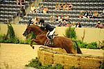 USHJA-Derby-8-21-10-Rnd2-DER1_9580-Westview-PeterPletcher-DDeRosaPhoto.JPG