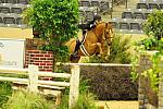 USHJA-Derby-8-21-10-Rnd2-DER1_9593-Sander-MaggieJayne-DDeRosaPhoto.jpg