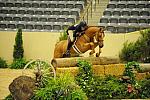 USHJA-Derby-8-21-10-Rnd2-DER1_9598-Sander-MaggieJayne-DDeRosaPhoto.JPG