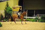 USHJA-Derby-8-21-10-Rnd2-DER1_9603-JerseyBoy-JenniferAlfano-DDeRosaPhoto.JPG