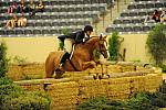 USHJA-Derby-8-21-10-Rnd2-DER1_9615-JerseyBoy-JenniferAlfano-DDeRosaPhoto.JPG