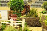 USHJA-Derby-8-21-10-Rnd2-DER1_9657-Peridot-TammyProvost-DDeRosaPhoto.jpg