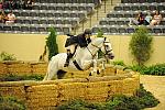 USHJA-Derby-8-21-10-Rnd2-DER1_9697-LouiseSerio-CastleRock-DDeRosaPhoto.JPG