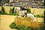 USHJA-Derby-8-21-10-Rnd2-DER1_9699-LouiseSerio-CastleRock-DDeRosaPhoto.JPG