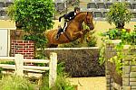 USHJA-Derby-8-21-10-Rnd2-DER1_9740-Brunello-ElizabethBoyd-DDeRosaPhoto.jpg