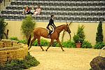 USHJA-Derby-8-21-10-Rnd2-DER1_9747-Brunello-ElizabethBoyd-DDeRosaPhoto.JPG