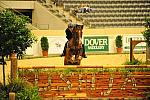 USHJA-Derby-8-21-10-Rnd2-DER1_9783-Lonestar-HuntTosh-DDeRosaPhoto.JPG