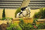 USHJA-Derby-8-21-10-Rnd2-DER1_9825-SummerPlace-ScottStewart-DDeRosaPhoto.JPG