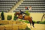 USHJA-Derby-8-21-10-Rnd2-DER1_9842-CRHaribo-ColleenAcosta-DDeRosaPhoto.JPG