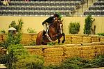 USHJA-Derby-8-21-10-Rnd2-DER1_9859-Taken-KelleyFarmer-DDeRosaPhoto.JPG