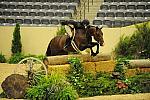 USHJA-Derby-8-21-10-Rnd2-DER1_9986-Francesca-MaggieJayne-DDeRosaPhoto.JPG