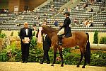 USHJA-Derby-Rnd2-Awards-DER_0038-Peridot-TammyProvost-DDeRosaPhoto.jpg