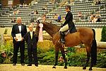 USHJA-Derby-Rnd2-Awards-DER_0041-Peridot-TammyProvost-DDeRosaPhoto.jpg