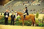 USHJA-Derby-Rnd2-Awards-DER_0042-JerseyBoy-JenniferAlfano-DDeRosaPhoto.jpg