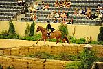 USHJA-Derby-Rnd3-DER2_0191-JerseyBoy-JenniferAlfano--DDeRosaPhoto.JPG