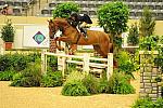 USHJA-Derby-Rnd3-DER2_0223-Brunello-ElizabethBoyd-DDeRosaPhoto.jpg