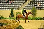 USHJA-Derby-Rnd3-DER2_0227-Brunello-ElizabethBoyd-DDeRosaPhoto.JPG