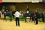 USHJA-Derby-8-21-10-Rnd3-DER2_0269-DDeRosaPhoto.jpg